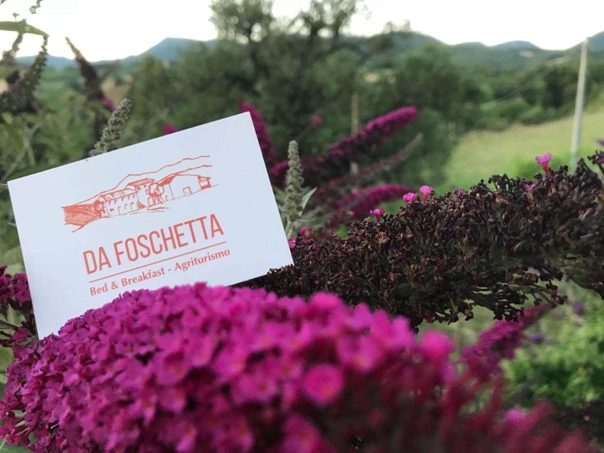 Da Foschetta Matelica Exterior foto